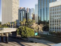 Urban Metropolis: Building Skyline in the City