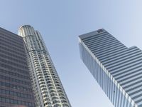 Urban Metropolis: High Rise Buildings under Clear Skies