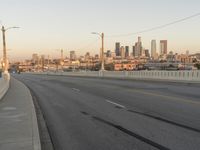 Urban Metropolis: Skyscrapers in Downtown Los Angeles