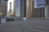Urban Metropolis: Skyscrapers of Downtown Los Angeles