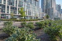 Urban Mixed-Use Neighborhood Residential Area