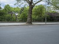 Urban Nature: A Park in the City of Berlin