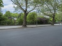 Urban Nature: A Park in the City of Berlin