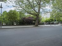 Urban Nature: A Park in the City of Berlin