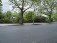 Urban Nature: A Park in the City of Berlin