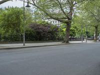 Urban Nature: A Park in the City of Berlin