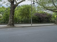 Urban Nature: A Park in the City of Berlin