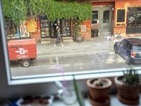 view from inside of the store window on a sidewalk with two potted plants and an empty red van