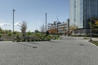 a paved road surrounded by buildings on a sunny day, including a green lawn with a planter