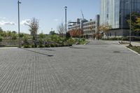 a paved road surrounded by buildings on a sunny day, including a green lawn with a planter