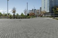 a paved road surrounded by buildings on a sunny day, including a green lawn with a planter