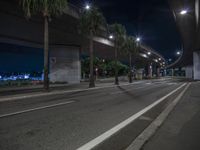 an empty street at night with palm trees and cars underneath a bridge lit up by street lights