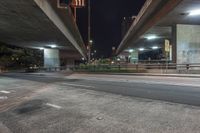 an elevated freeway bridge in night time with a person walking by it and the light from the street lamps shine on