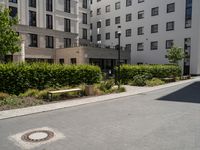 a paved walkway with a white bench on each side of it, and several apartment buildings in the background