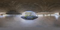 a concrete structure with plants on a gravel ground under a skylight with high - vaulted ceilings