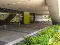 an image of outside area with ferns and plants in front of the building and glass doors