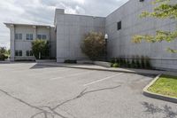 an empty parking lot with grass growing out of it's corner and a tree in front of a large, gray concrete building