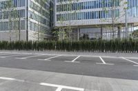 a sidewalk with trees and grass near a parking lot near a high - rise building