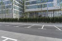 a sidewalk with trees and grass near a parking lot near a high - rise building