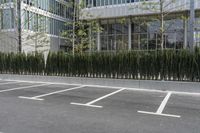 a sidewalk with trees and grass near a parking lot near a high - rise building