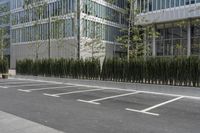 a sidewalk with trees and grass near a parking lot near a high - rise building