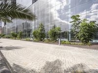 an empty plaza with brick pavers and trees in front of modern building in urban setting