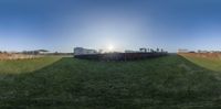 a large sculpture of grass next to a fence with buildings in the background while sun shines