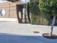 an outdoor area with planters and two small trees, in front of a building