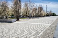 Urban Park with Cobblestone Walkway and Architectural Buildings