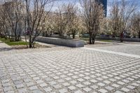 Urban Park with Cobblestone Walkway and Architectural Buildings