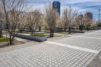 Urban Park with Cobblestone Walkway and Architectural Buildings