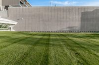 green lawn of a modern building with a building in the background and sky on a sunny day