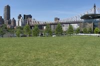 Urban Park in New York City: A Green Oasis Against a City Skyline