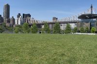 Urban Park in New York City: A Green Oasis Against a City Skyline
