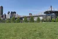 Urban Park in New York City: A Green Oasis Against a City Skyline