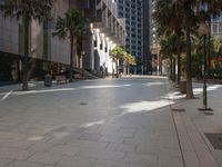 a park is set up with trees and bushes near tall buildings on either side of the street