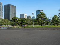 Urban Park in Tokyo: Modern Architecture and Greenery