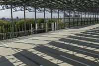 a man walking down the steps up towards the sky in the sunlight, on a skateboard