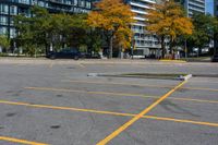 yellow lines in a parking lot with trees on either side of the parking lot and large buildings in the background