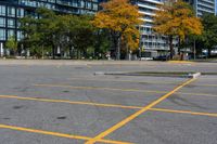 yellow lines in a parking lot with trees on either side of the parking lot and large buildings in the background