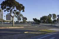 a large parking lot with two large trees on the sides and some trees in the middle