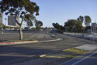 a large parking lot with two large trees on the sides and some trees in the middle