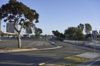 a large parking lot with two large trees on the sides and some trees in the middle