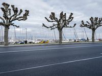 a bunch of trees on the side of a street next to a parking lot and some boats