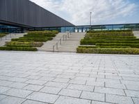 the concrete steps that lead up to a building have hedges on them and bushes on each side