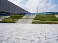 the concrete steps that lead up to a building have hedges on them and bushes on each side