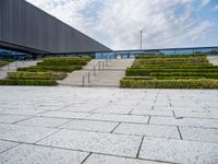 the concrete steps that lead up to a building have hedges on them and bushes on each side