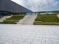 the concrete steps that lead up to a building have hedges on them and bushes on each side