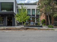 street corner with tree on the corner of the corner and a building behind it that is surrounded by multiple windows and a perforated brown lattice