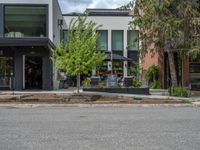 street corner with tree on the corner of the corner and a building behind it that is surrounded by multiple windows and a perforated brown lattice